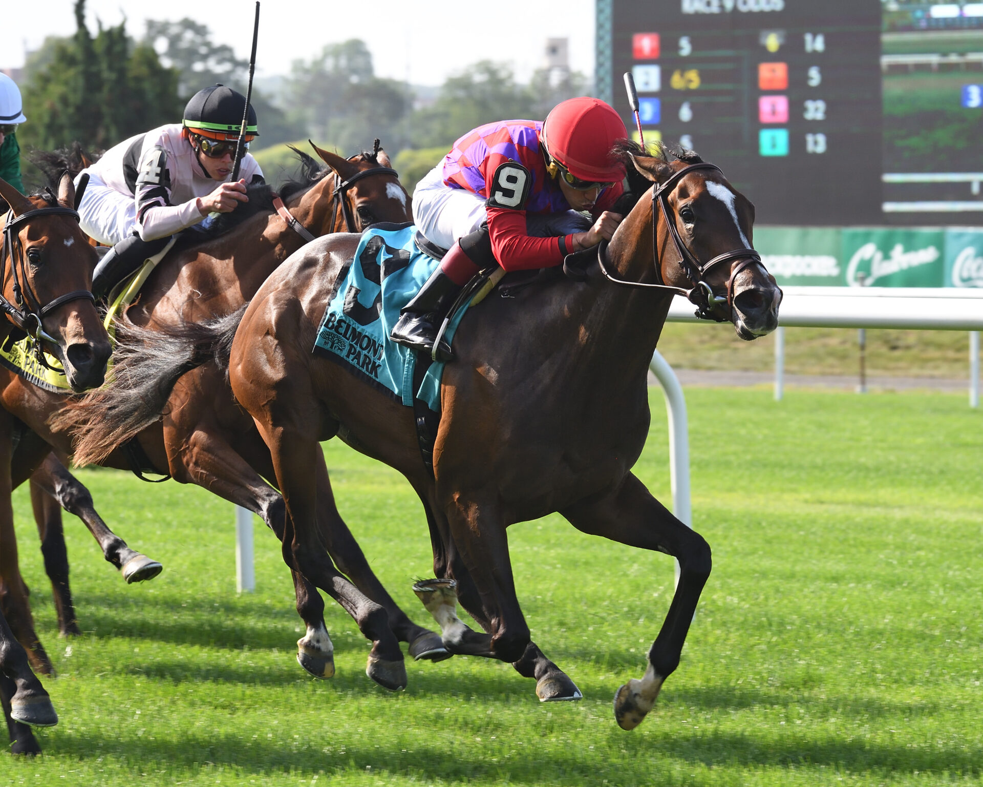 Runawar Racer Runaway Rumour Stays Unbeaten With Wild Applause Victory - Racing Dudes
