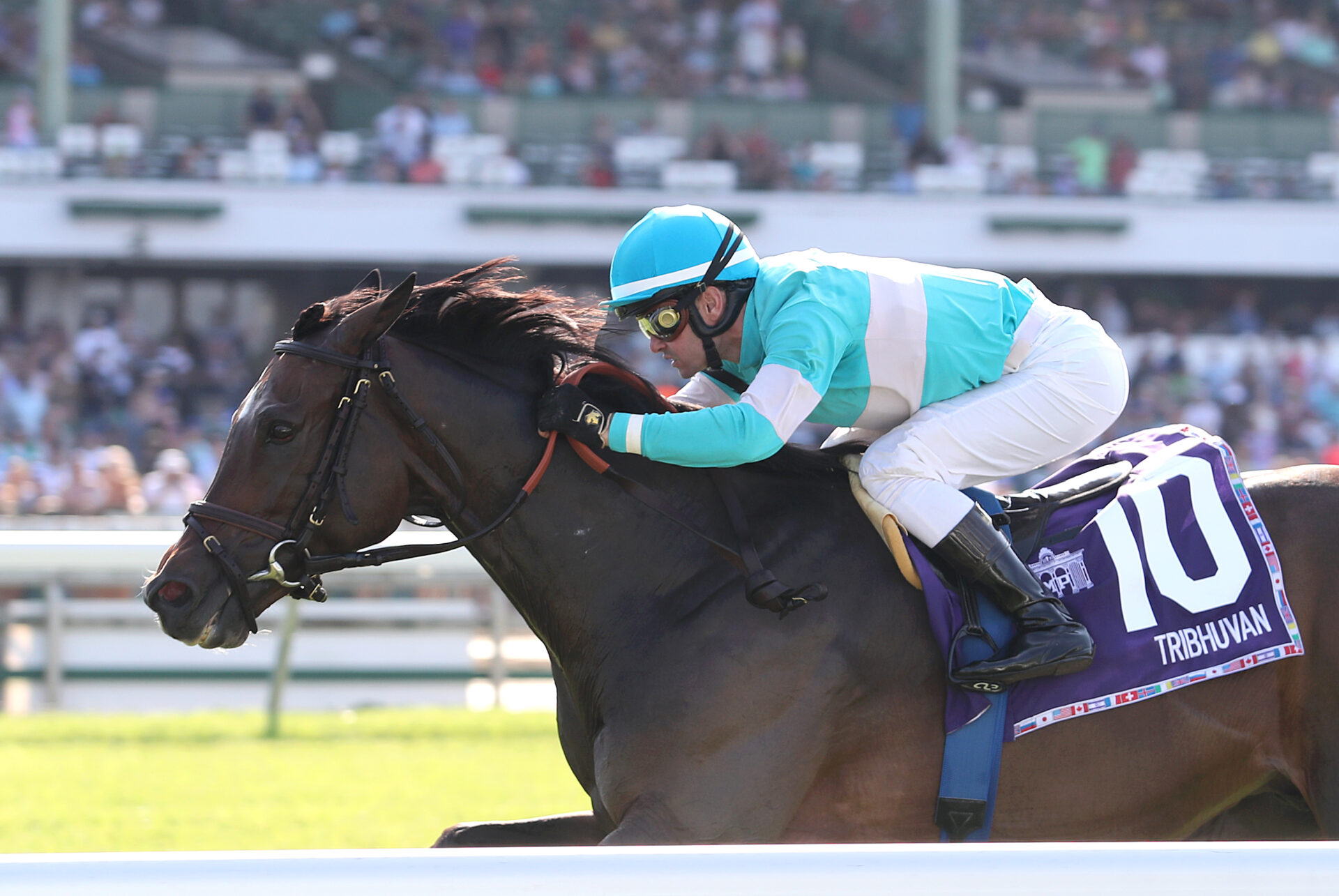 2023 Monmouth Stakes Preview & FREE Picks Tribhuvan Among Field Of 6