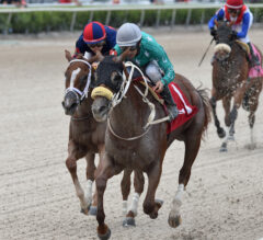 Competitive Speed Back In Winner’s Circle In Hallandale Beach