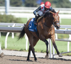Casse Continues Selene Win Streak With Our Flash Drive