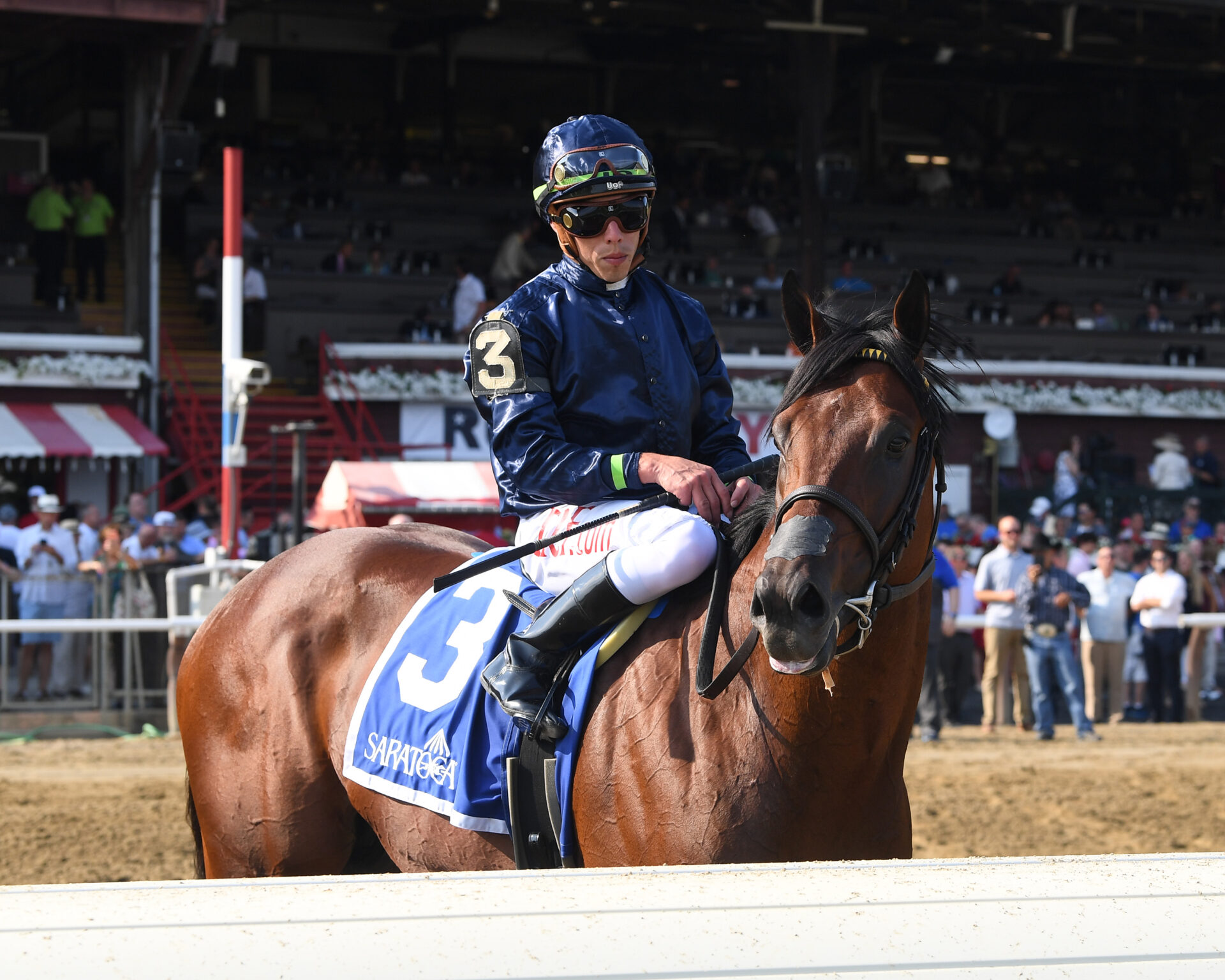Saratoga Raceway Picks - 7fjmdg7