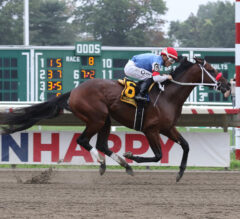 Lopez Wins With Amatteroftime, Alta Velocita On New Jersey Thoroughbred Festival Day