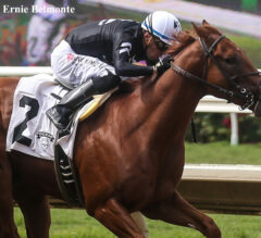 2022 San Felipe Stakes Preview, FREE Picks, And Longshots | Baffert Aims to Steal Another Kentucky Derby Prep