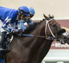 Mo Forza Nails Smooth Like Strait For Big Return Score In Del Mar Mile