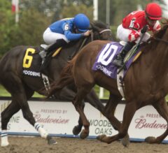 Canadian Triple Tiara Series Concludes With Wonder Where