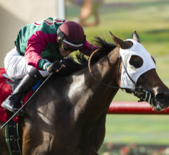 Pulpit Rider Up In Last Jump To Take Solana Beach