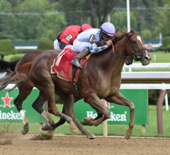 Bayerness Becomes Stakes Winner In Shine Again