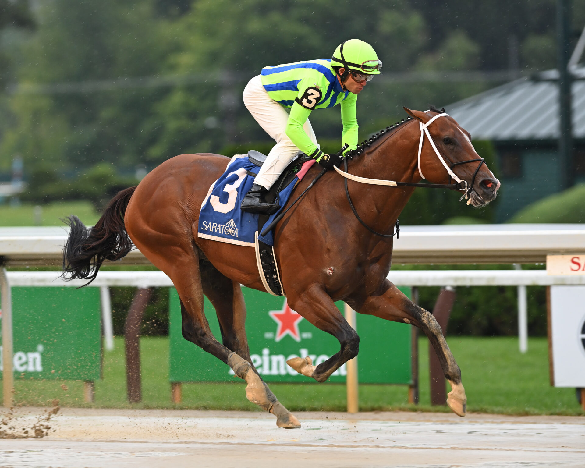 Jackie's Warrior Looks To Keep Perfect Spa Record Intact In H. Allen ...