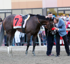 The X-Factor: How Trainer Form Impacts a Maiden Race Card