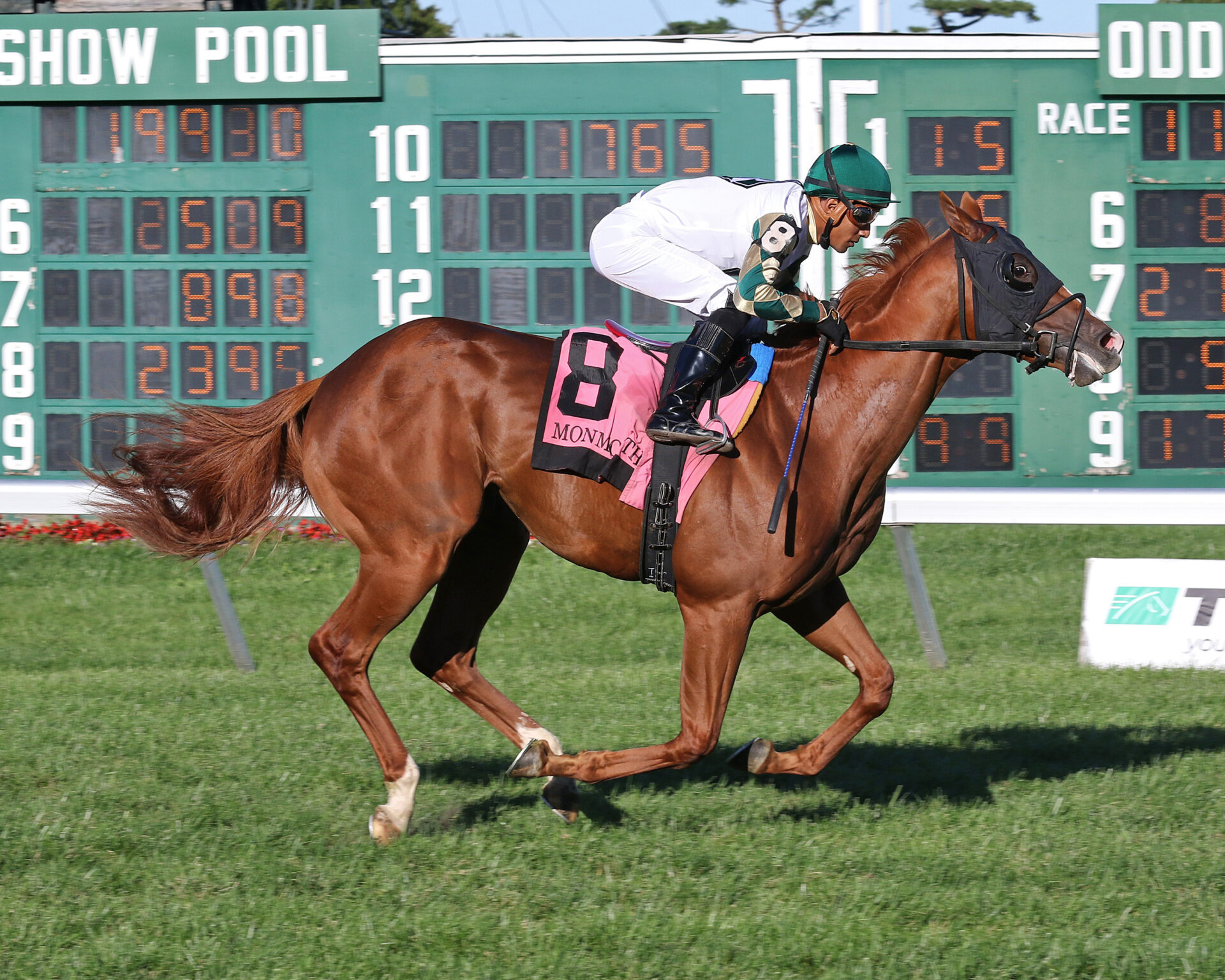 2022 Gio Ponti Stakes Preview & FREE Picks Dakota Gold, Riot House