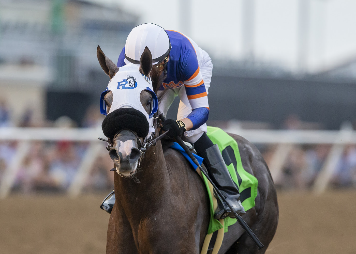 Connie Daily Racing Connie Swingle A Prompt Favorite In Generous Portion - Racing Dudes