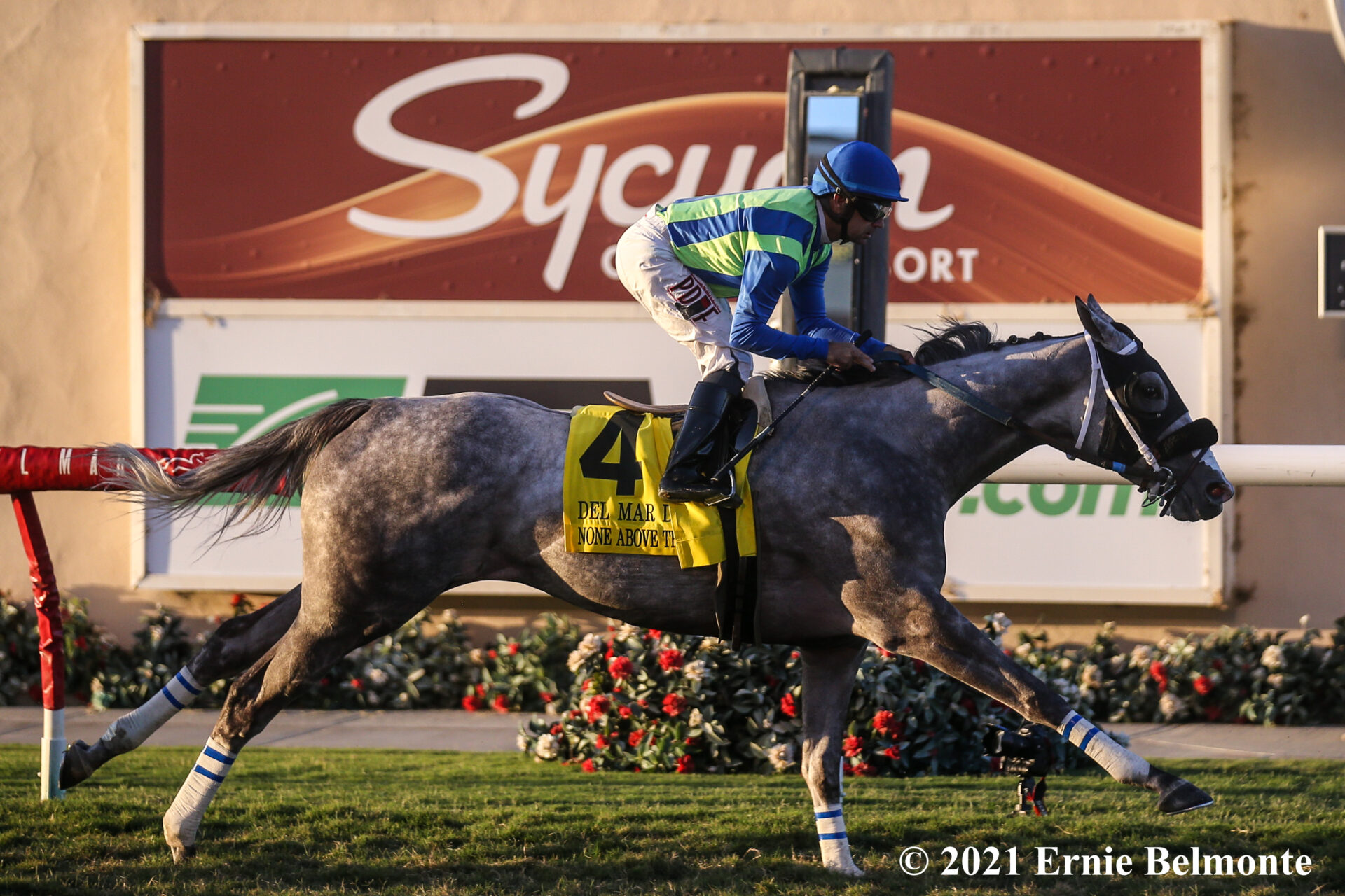 None Above The Law Upsets Del Mar Derby Racing Dudes