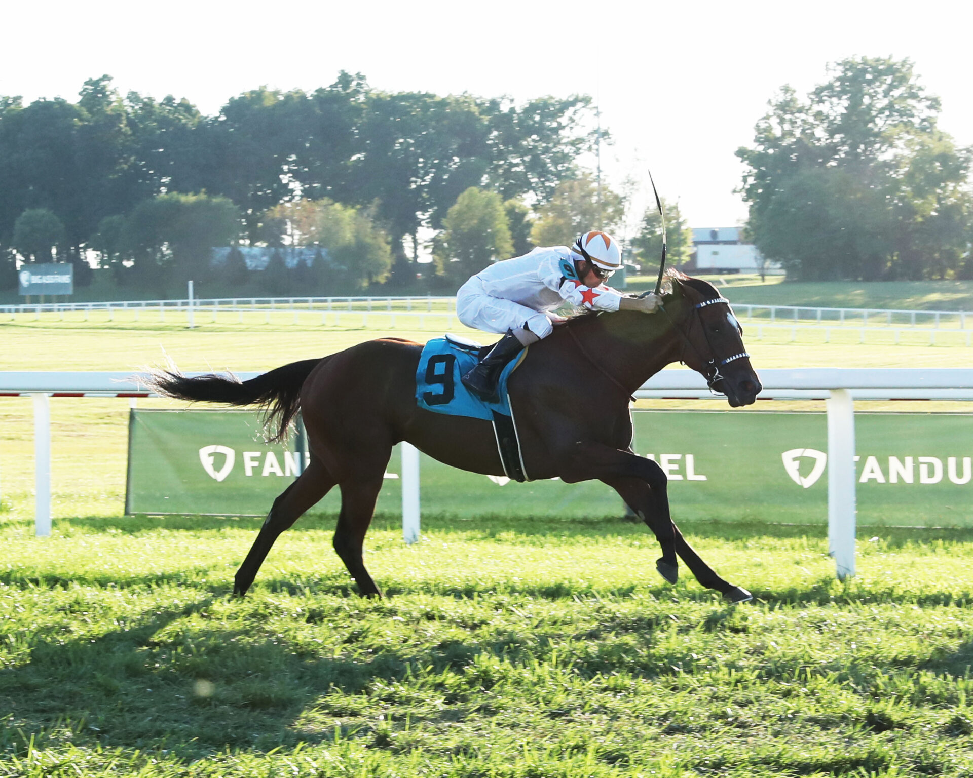 2022 John Battaglia Memorial Stakes Preview, FREE Picks, And Longshots Upset Looming In