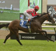 War Bomber Tops Them All In Toronto Cup