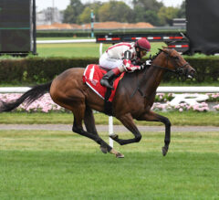 Bay Storm Seeks Second Stakes Score In Glen Cove