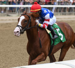 Jack Christopher Top Single-Entry Favorite In Kentucky Derby Future Wager Pool 1