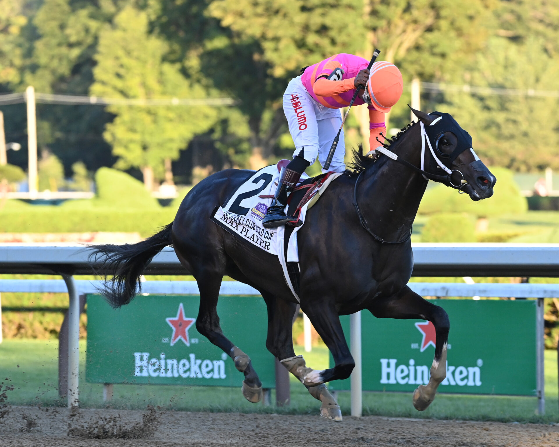 Max Player's Stalking Trip Equals Jockey Club Gold Cup Glory Racing Dudes