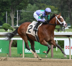 Champagne Preview: Pletcher Holds Heavy Hand