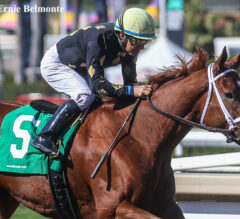 2021 Breeders’ Cup Filly And Mare Sprint Preview, Picks, And Longshots