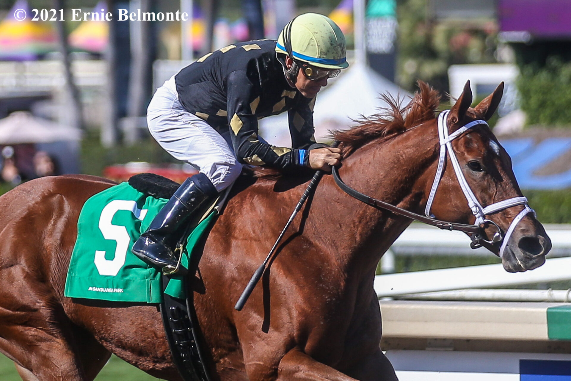 2021 Breeders' Cup Filly And Mare Sprint Preview, Picks, And Longshots ...