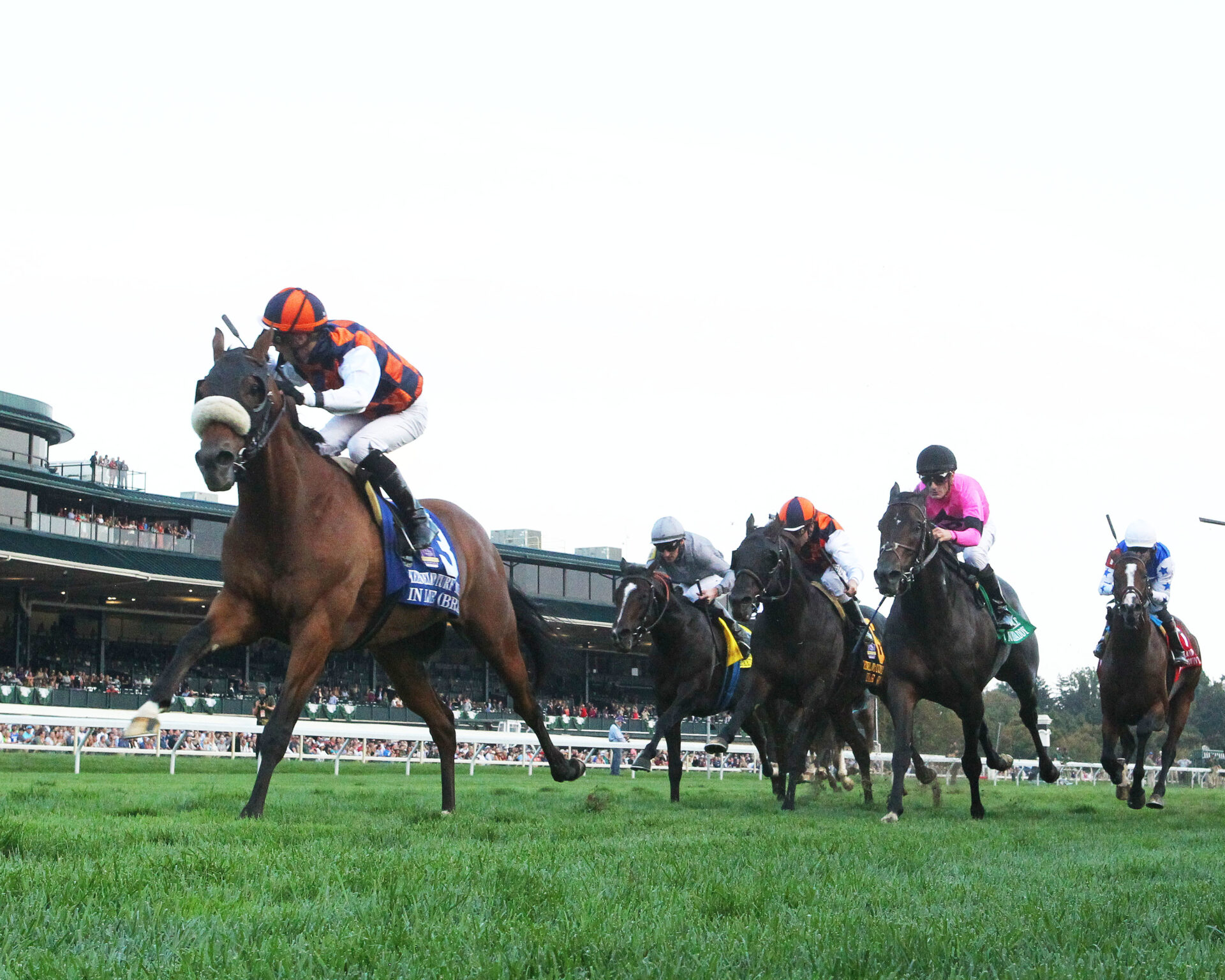 2022 Maker's Mark Mile Stakes Preview, FREE Picks, & Longshots Loaded