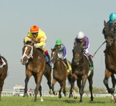Where’s Neal, Spring Mountain Primed For Cup & Saucer