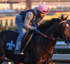 2021 Breeders’ Cup Juvenile Preview, Picks, And Longshots
