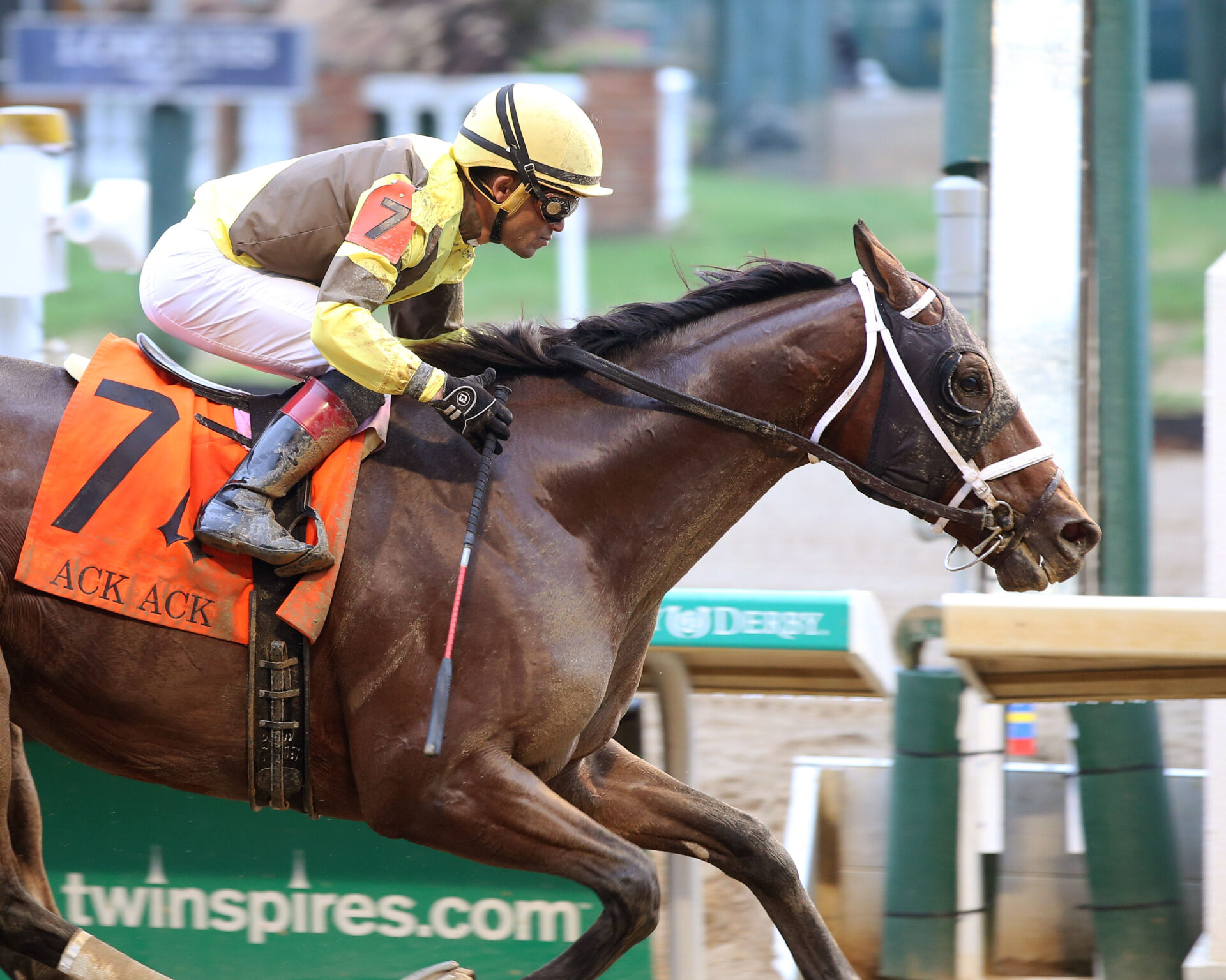 Razor Back Racing 2022 Razorback Handicap Preview, Free Picks, And Longshots - Racing Dudes