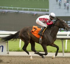 Silent Resent Cross-Entered In Shady Well, Clarendon Friday At Woodbine