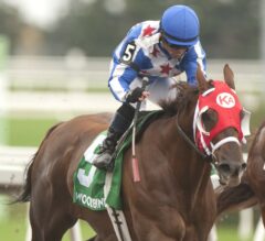 Special Forces, God of Love, Art of Almost Victorious Sunday at Woodbine