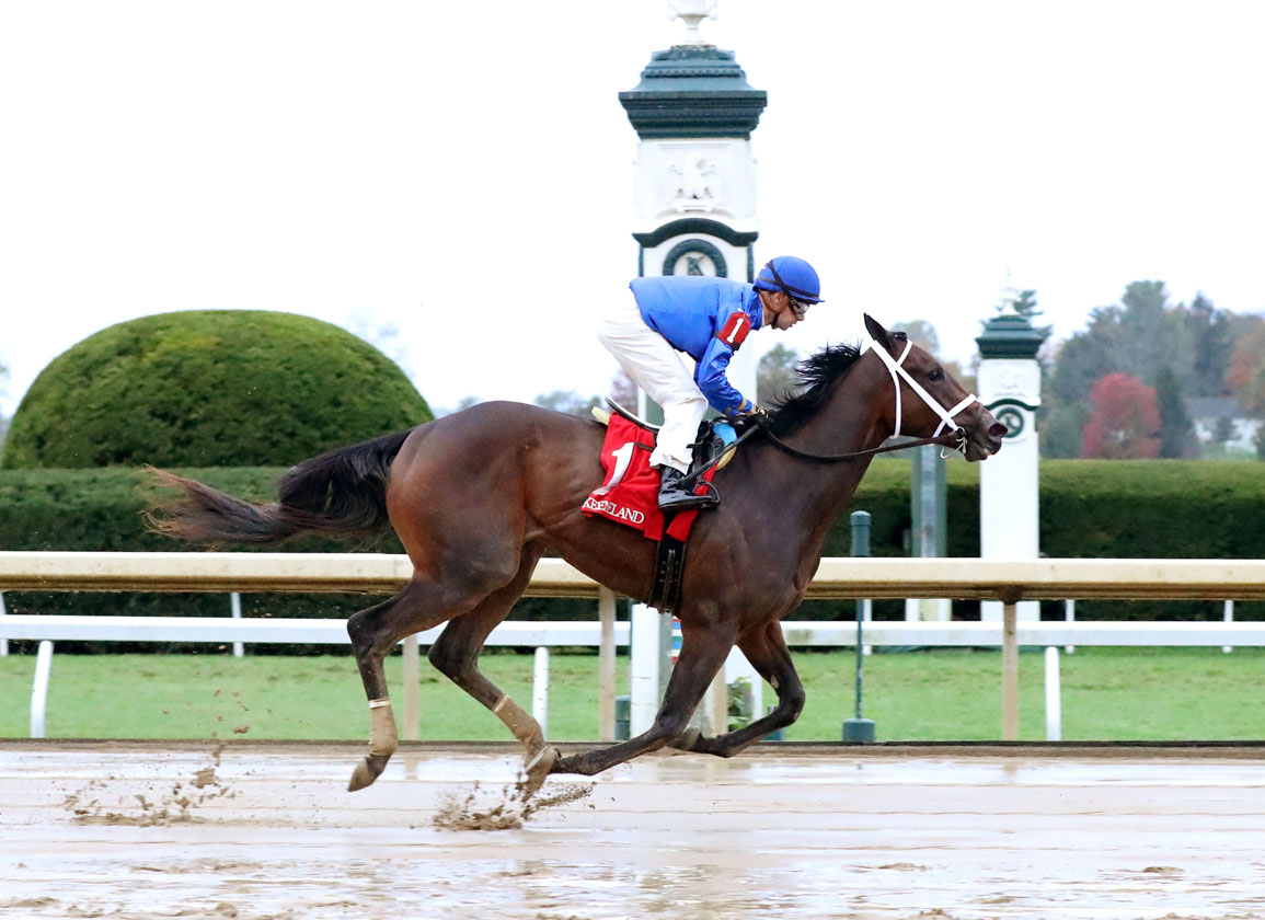 Oaklawn Park Preview, Free Picks, And Longshots January 7, 2022