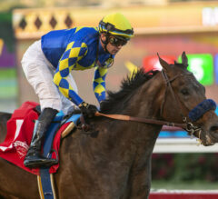 Racing Dudes Three Stars Of The Week: Juveniles Take Center Stage At Del Mar