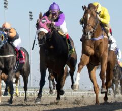 What Horse Racing Bettors in Canada Should Look for in an Online Casino