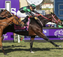 Loves Only You Makes History In Breeders’ Cup Filly & Mare Turf