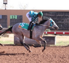 2021 Remington Springboard Mile Stakes Preview, Free Picks, And Longshots