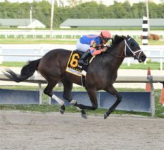 Fearless Wins Harlan’s Holiday; Pegasus World Cup Next?