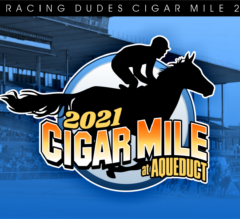 Cigar Mile Picks And 2021 Wagering Guide