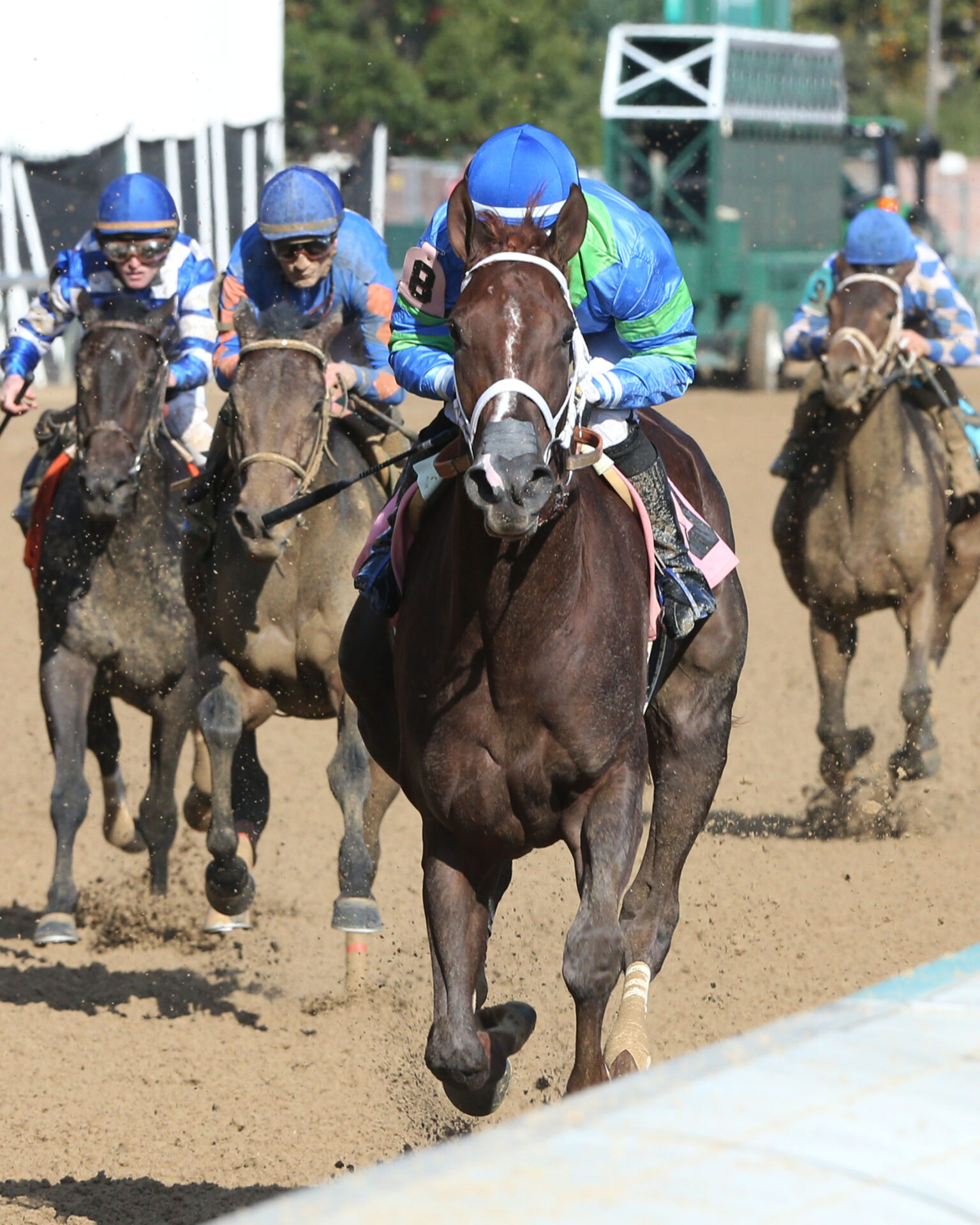 Oaklawn Park Race Track Entries - dj247h0