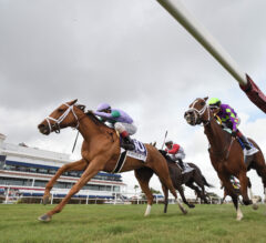 2022 Pegasus World Cup Filly & Mare Turf Preview – Invited Horses Revealed