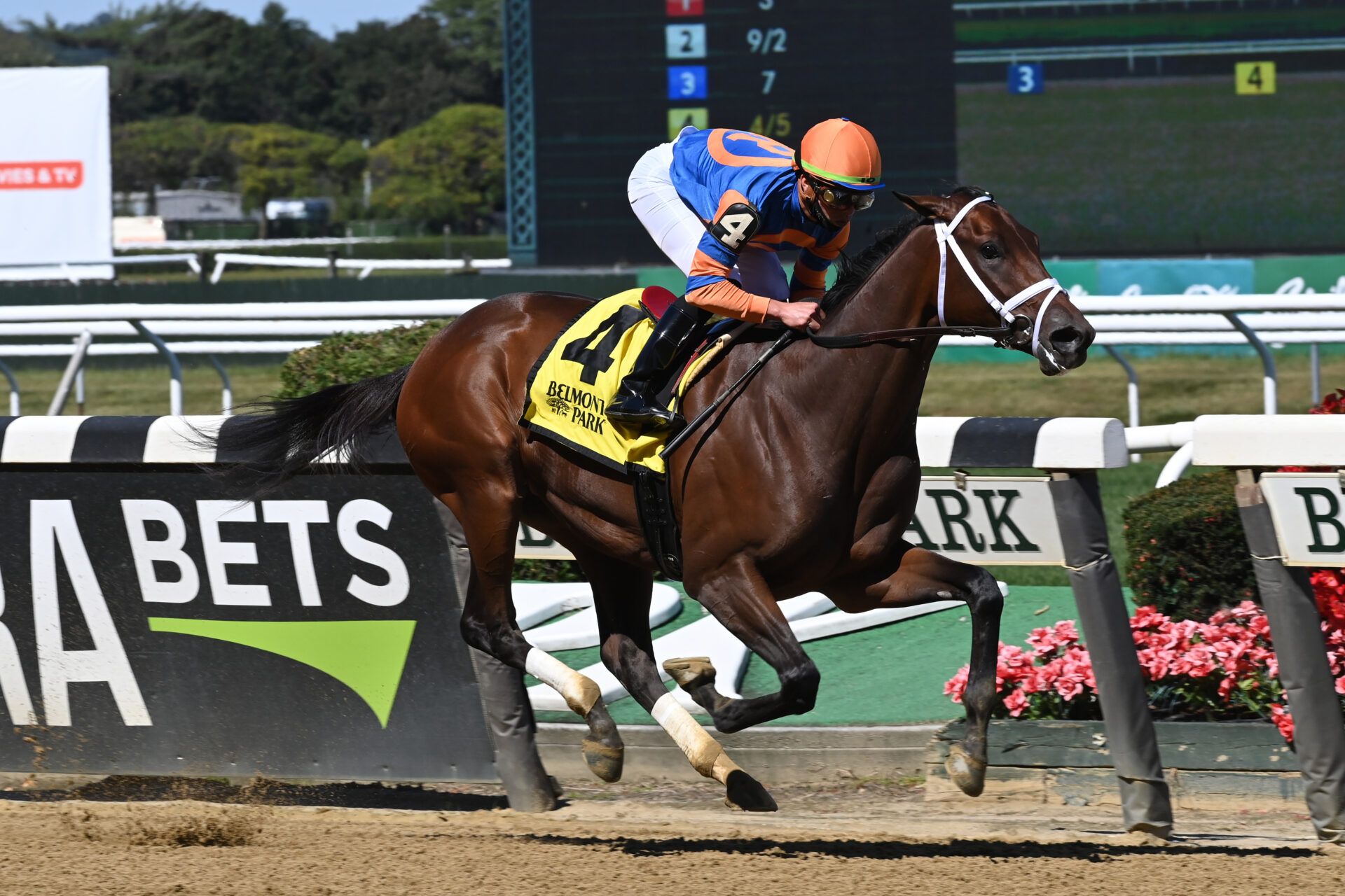 2022 Ashland Stakes Preview, FREE Picks, & Longshots Keeneland Begins