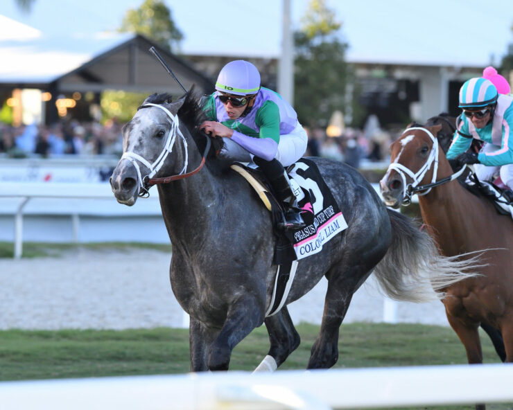 Pegasus World Cup Contenders, Picks and Results