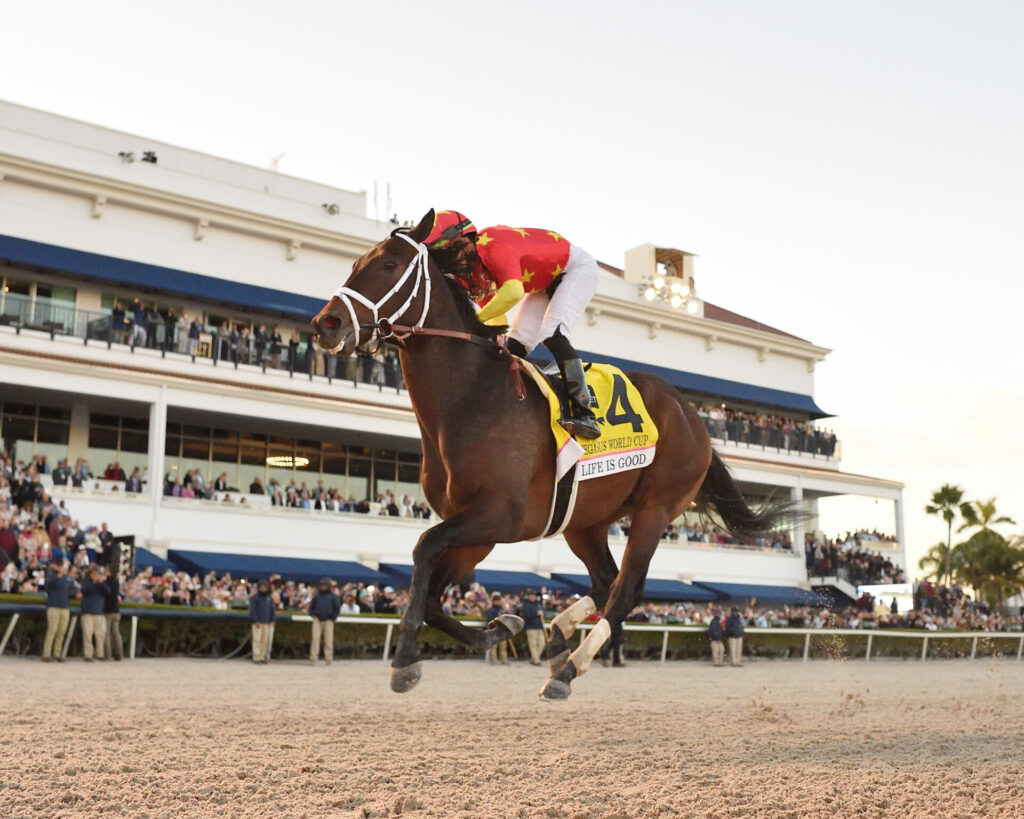 Pegasus World Cup Contenders, Picks and Results