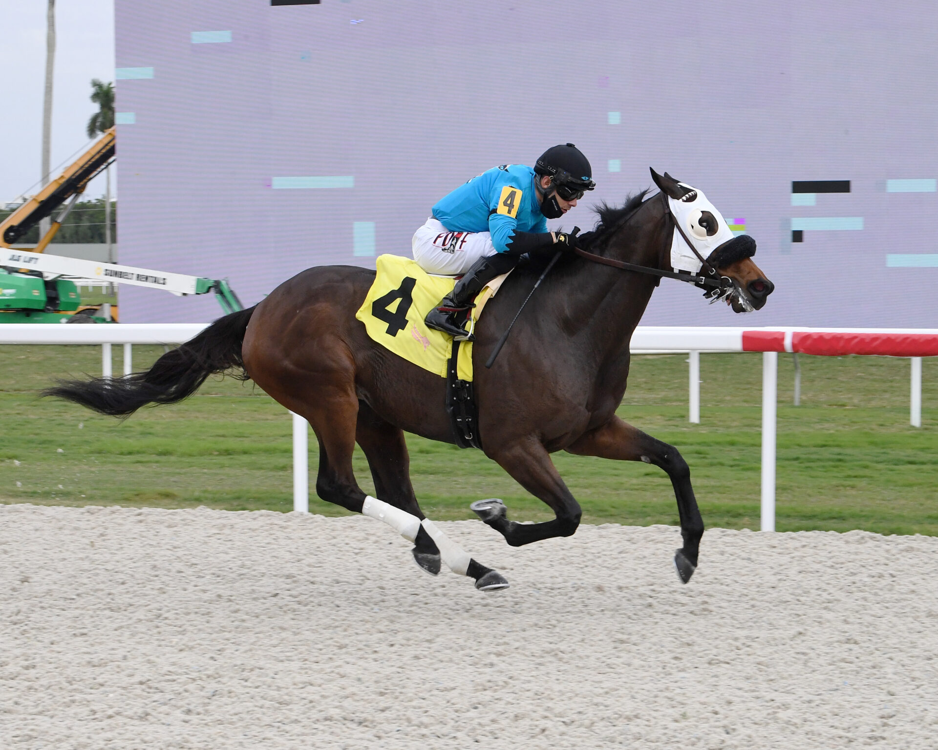 Gulfstream Picks Racing Dudes - lgbtb4v