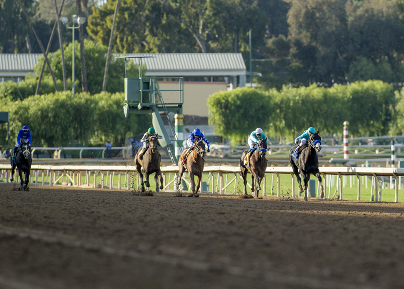 Way Too Early 2022 Kentucky Derby Picks 3 Racing Dudes