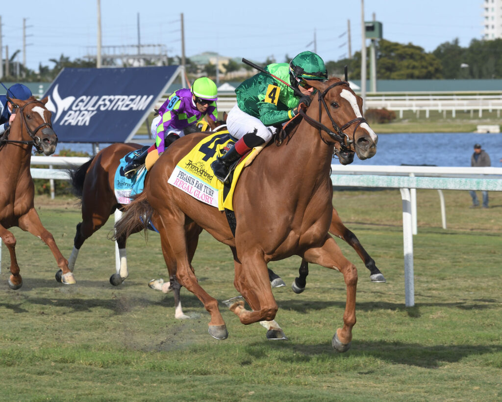 Pegasus World Cup Contenders, Picks and Results