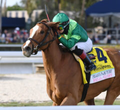 2022 Pegasus World Cup Filly & Mare Turf Replay And Recap | Regal Glory Too Classy
