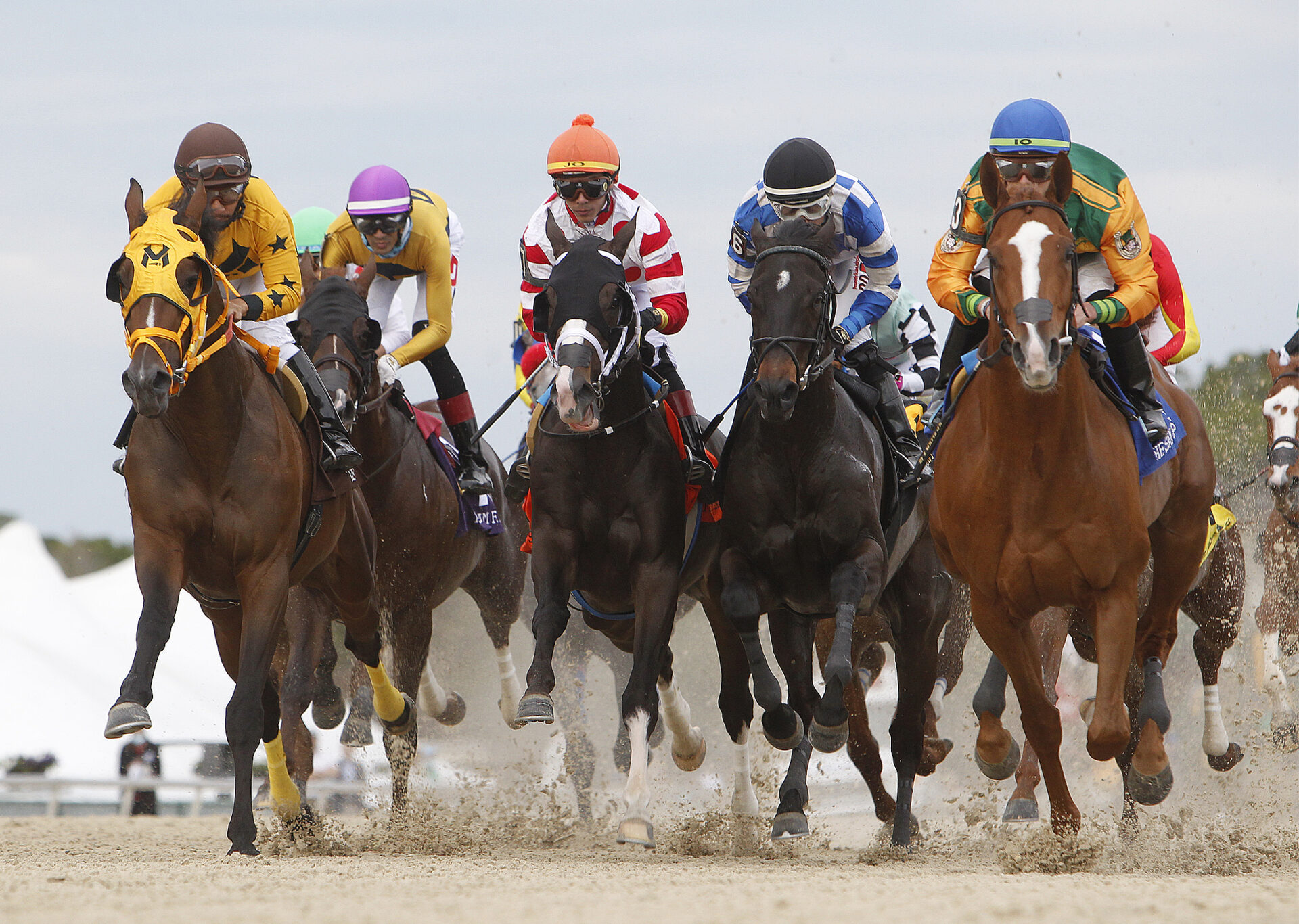 2022 Tampa Bay Derby Preview, FREE Picks, And Longshots Who Can Rain