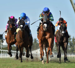 2022 Captiva Island Stakes Preview, FREE Picks, And Longshots | Miss J McKay Needs Cleaner Trip