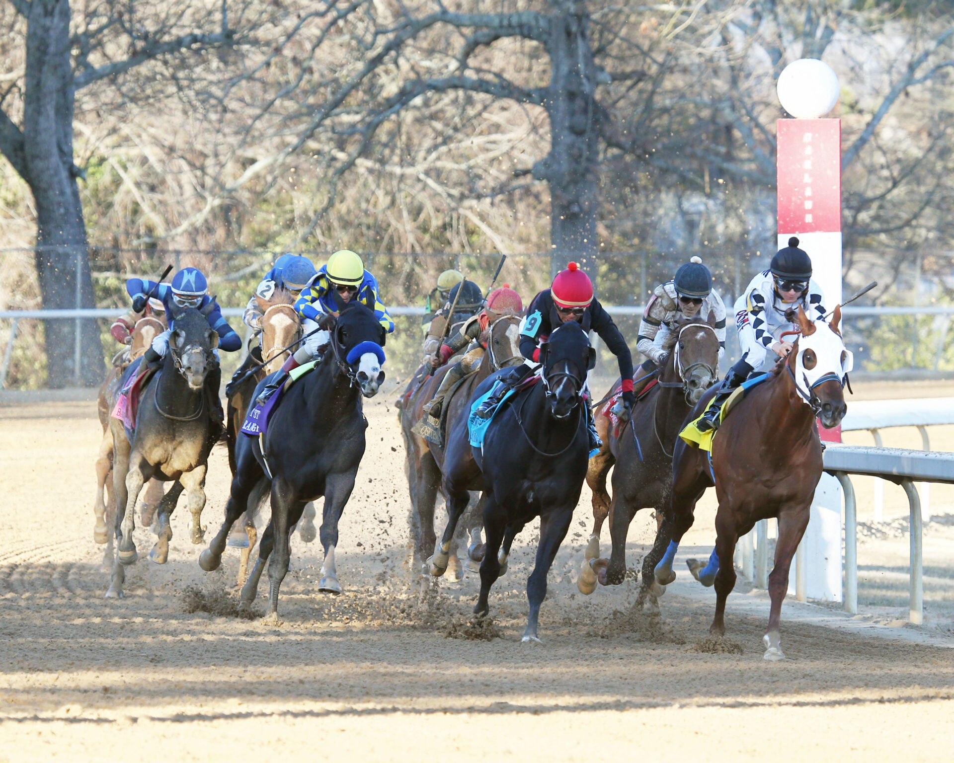 Oaklawn Park Preview, FREE Picks, & Longshots April 1, 2022 Racing