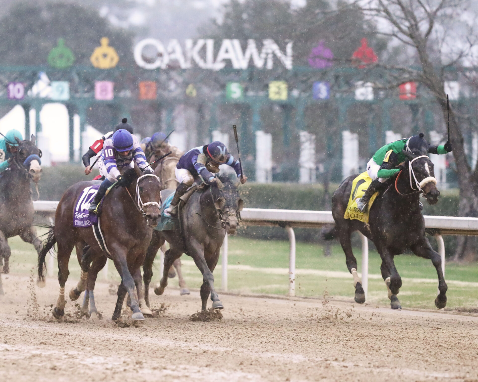 Oaklawn Park Preview FREE Picks And Longshots February 27 2022 Oaklawn Park Preview FREE Picks And Longshots February 27 2022